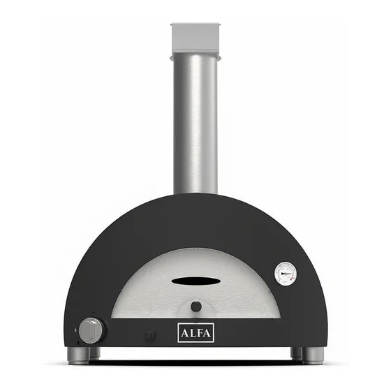 Alfa Forni Moderno 1 Pizza Holz Schiefer Grau