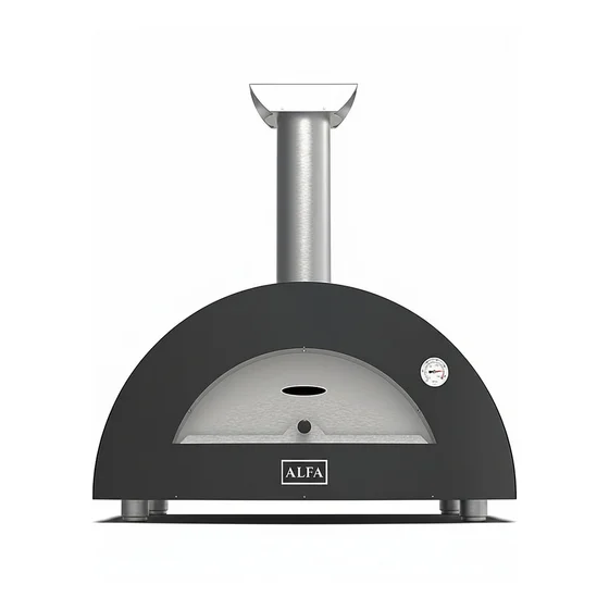 Alfa Forni Moderno 2 Pizze Holz Schiefer Grau