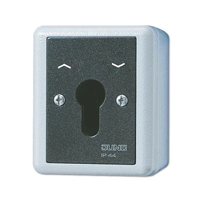 Jung 834.28 G AP/WD-Schlüsselschalter 2p Wende