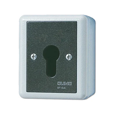 Jung 806.28 G AP/WD-Schlüsselschalter 2p Wechsel-