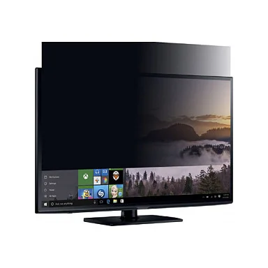 Mobilis Blickschutzfilter für Bildschirme - entfernbar - klebend - 55.9 cm (22)