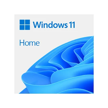 Microsoft Windows 11 Home - Box-Pack - 1 Lizenz - Flash-Laufwerk