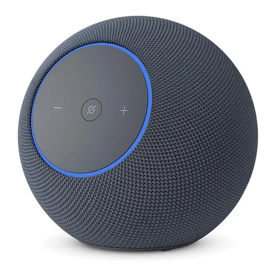 Echo Studio grau